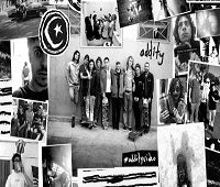 Foundation Skateboards : Oddity DVD