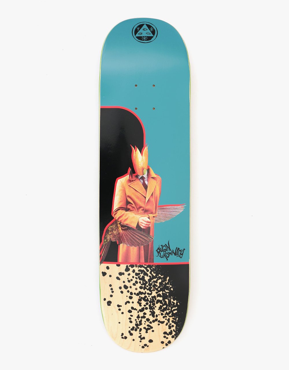 Welcome - Hummingbird 8.5