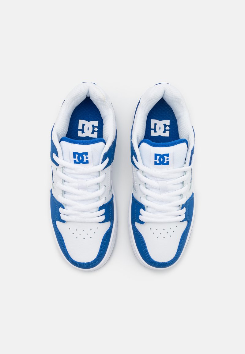 DC Manteca 4 Blue/White