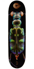 Powell Tiger Beetle 8.25