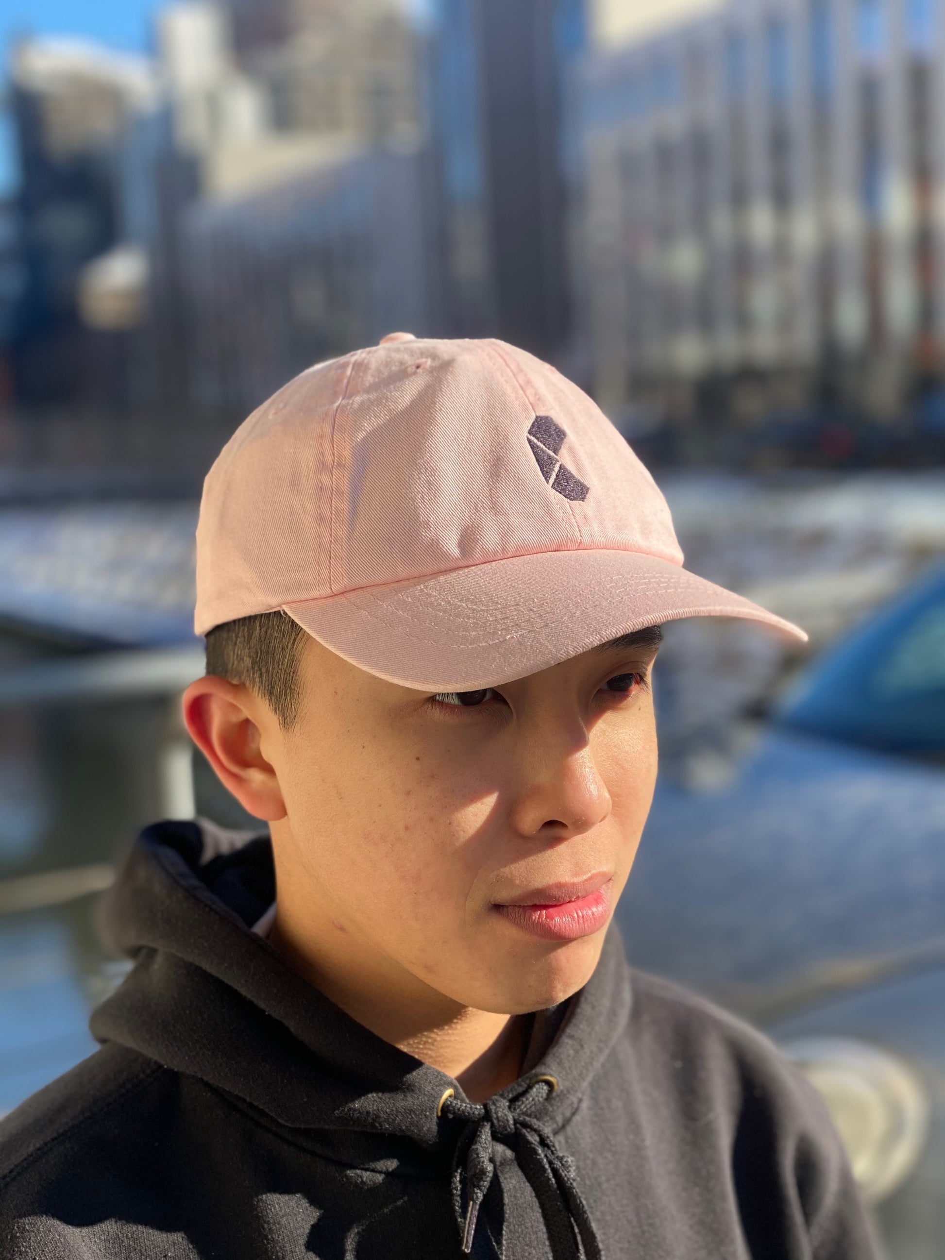 Curb Dad cap Pink