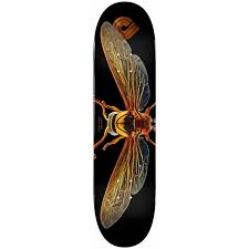 Powell Flight Potter Wasp Fall 8.0