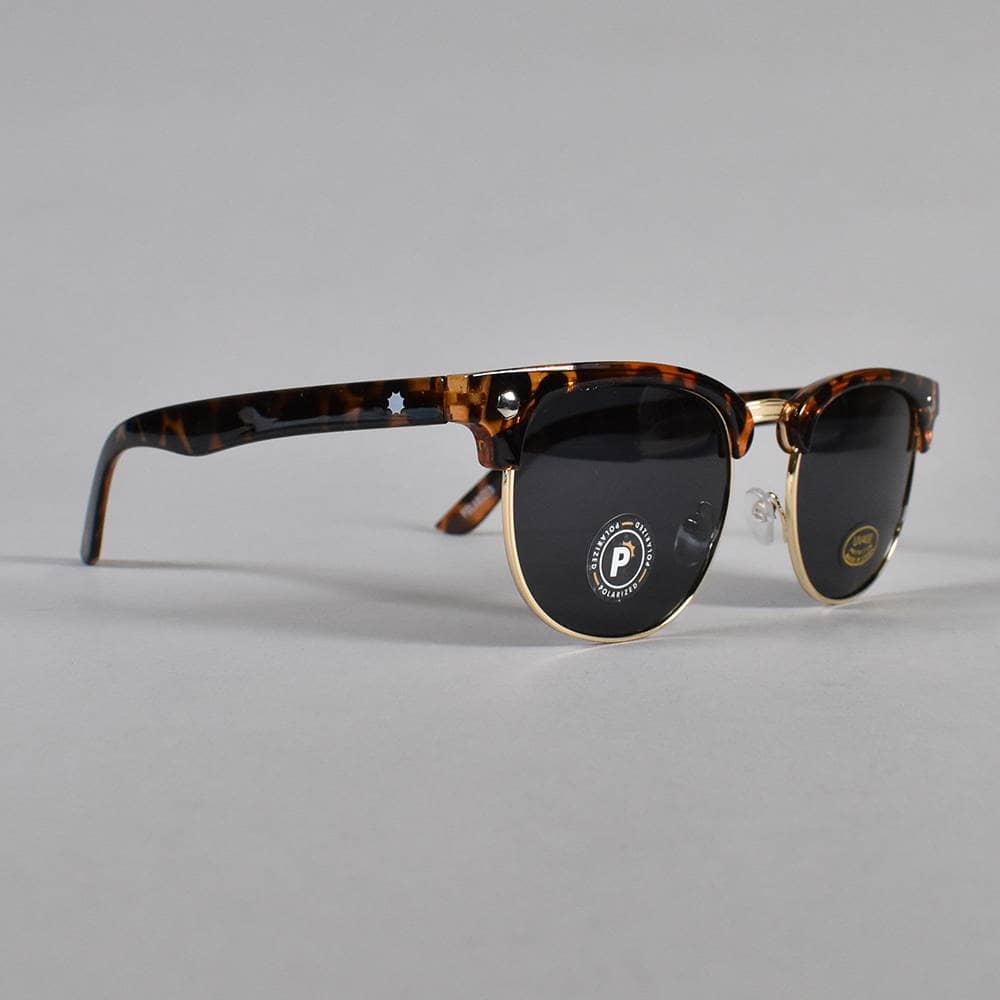 Glassy - Morrison Polarized Tortoise
