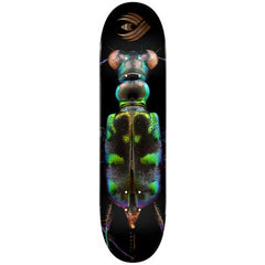 Powell Flight Biss Tiger Beetle 8.25
